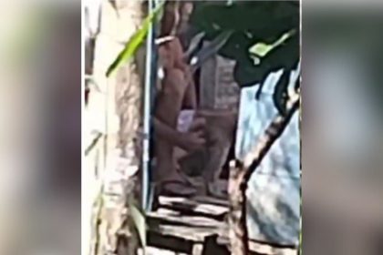 Imagem mostra cena de possível violência contra animal em Tefé, Amazonas.