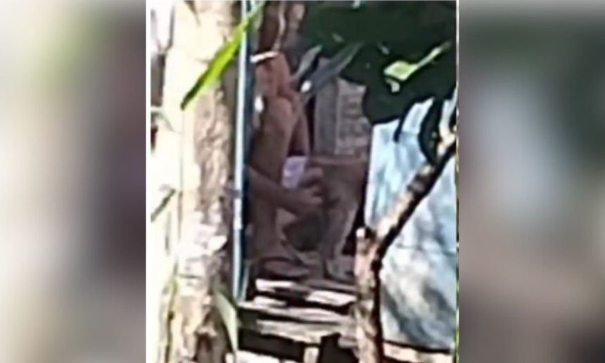 Imagem mostra cena de possível violência contra animal em Tefé, Amazonas.