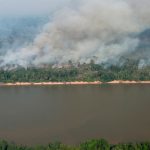 Incêndio florestal com fumaça densa, Rio e vegetação em primeiro plano.