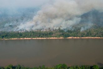 Incêndio florestal com fumaça densa, Rio e vegetação em primeiro plano.