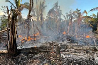 Incêndio florestal em Manicoré, Amazonas. Destruição da mata nativa.