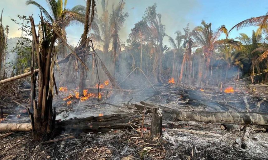 Incêndio florestal em Manicoré, Amazonas. Destruição da mata nativa.