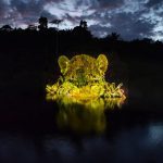 Obra de arte com projeção de onça em lago amazônico à noite.