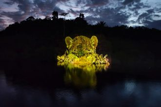 Obra de arte com projeção de onça em lago amazônico à noite.