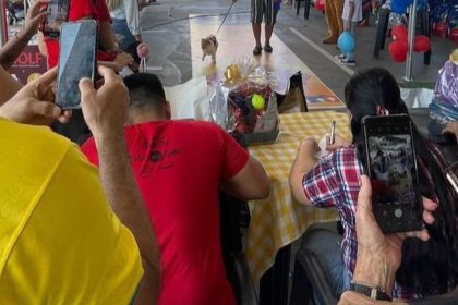 Pessoas fotografando um cão em um evento Pet.