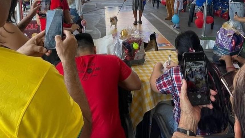 Pessoas fotografando um cão em um evento Pet.