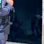 Policial em cena de crime com evidências de violência em residência.