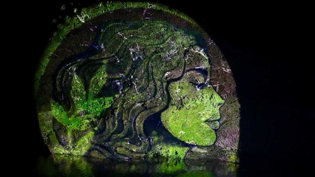 Rosto feminino esculpido em vegetação, refletido na água, parte do Projeta Amazônia.