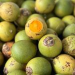 Tucumãs, frutos regionais com casca verde e amarela, um deles com a polpa laranja exposta.