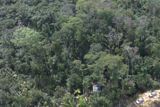 Vista aérea da floresta amazônica exuberante e densa.