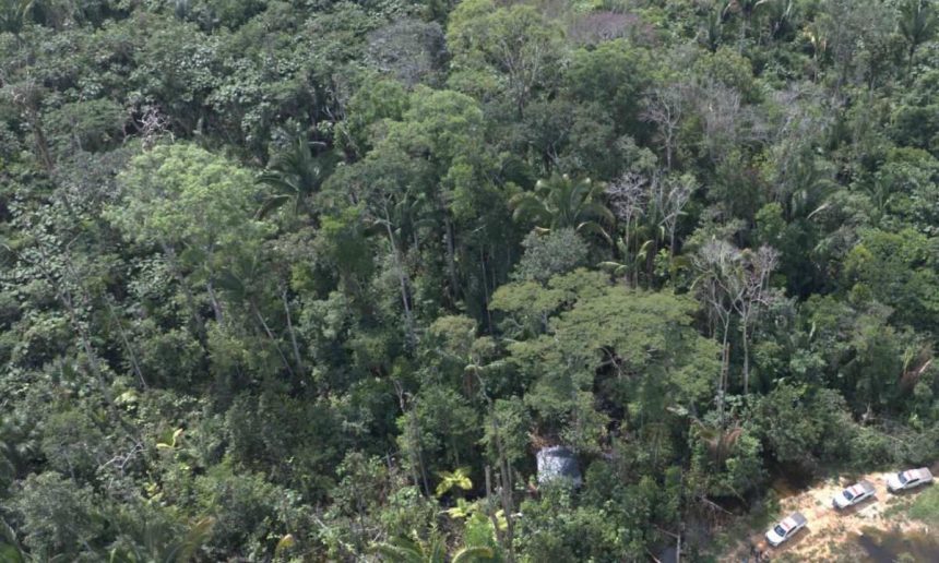 Vista aérea da floresta amazônica exuberante e densa.