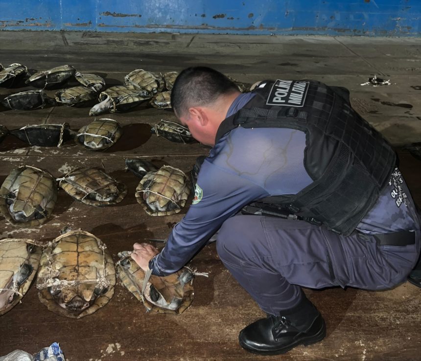 Base Arpão 2 apreensão de quelônios