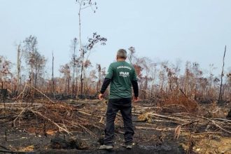 IPAAM reforça fiscalização contra queimadas na Região Metropolitana de Manaus