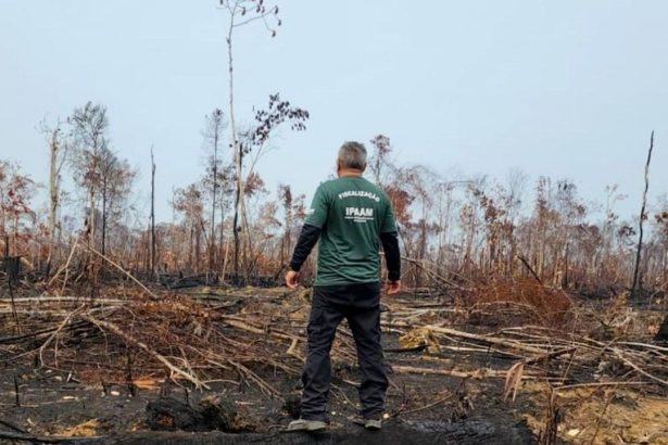 IPAAM reforça fiscalização contra queimadas na Região Metropolitana de Manaus