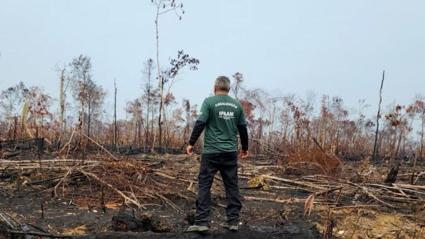 IPAAM reforça fiscalização contra queimadas na Região Metropolitana de Manaus