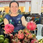 Feiras regionais acontecem essa semana