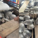 Homem é preso em Canutama por caça ilegal