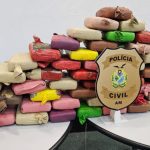 Apreensão de drogas: 65 kg de maconha skunk apreendidos pela Polícia Civil do Amazonas