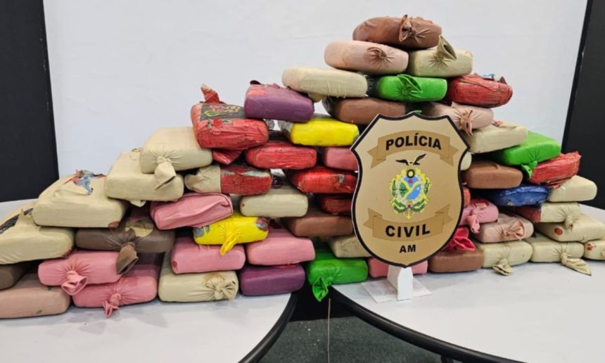 Apreensão de drogas: 65 kg de maconha skunk apreendidos pela Polícia Civil do Amazonas