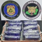 Apreensão de maconha em aeroporto pela Polícia Federal: drogas embaladas e símbolos da polícia.