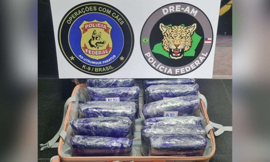 Apreensão de maconha em aeroporto pela Polícia Federal: drogas embaladas e símbolos da polícia.