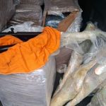 Armas e drogas apreendidas em operação policial: fuzis, maconha skunk embalada.