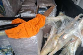 Armas e drogas apreendidas em operação policial: fuzis, maconha skunk embalada.