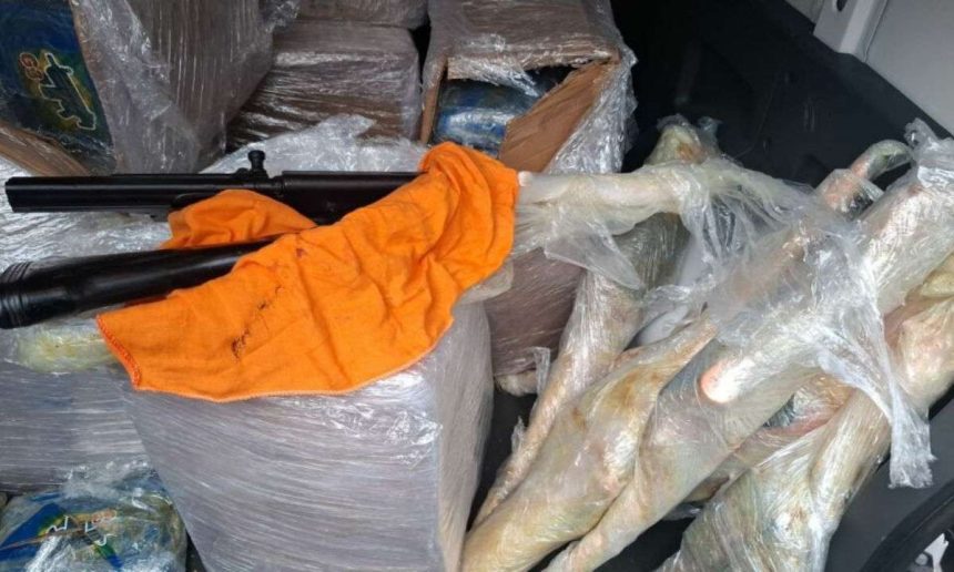 Armas e drogas apreendidas em operação policial: fuzis, maconha skunk embalada.