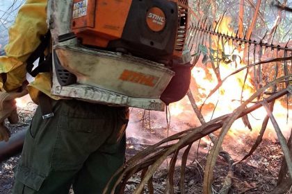 Bombeiro florestal usando soprador para conter incêndio florestal.