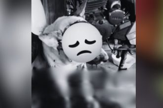 Cachorro ferido com emoji triste e parte de uma moto.