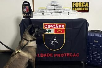 Cão farejador e apreensão de drogas em operação da Polícia no Amazonas.