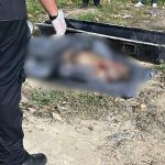 Corpo em cova rasa é encontrado por autoridades.