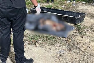 Corpo em cova rasa é encontrado por autoridades.