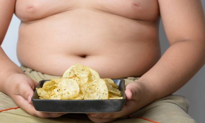 Criança obesa segurando um prato com batatas fritas.