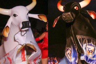 Dois touros gigantes, um branco e outro preto, em um evento em Manaus.