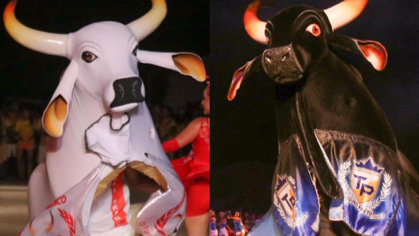 Dois touros gigantes, um branco e outro preto, em um evento em Manaus.