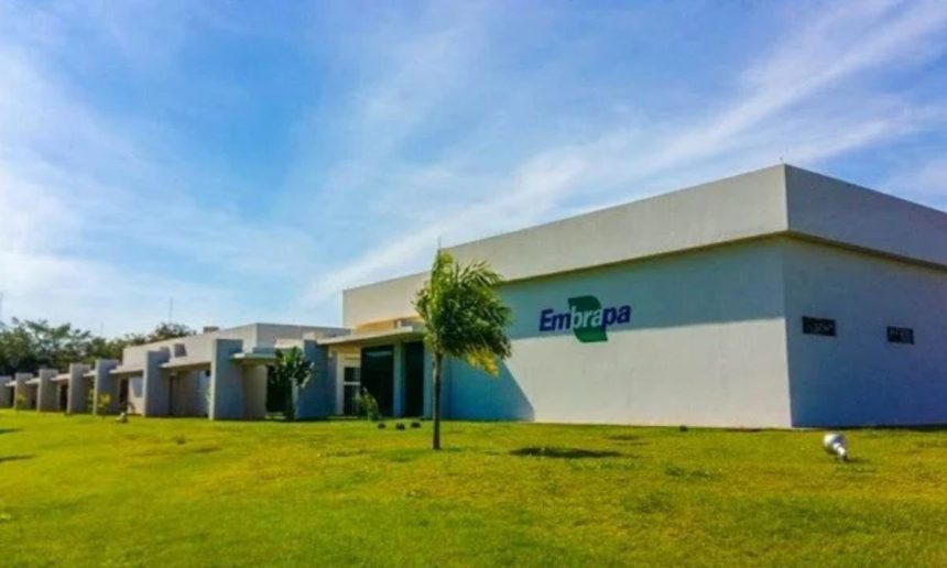 Fachada da Embrapa em dia ensolarado, com gramado e céu azul.