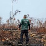 Homem observa área desmatada na Amazônia, em Apuí ou Lábrea.