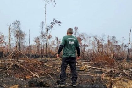 Homem observa área desmatada na Amazônia, em Apuí ou Lábrea.
