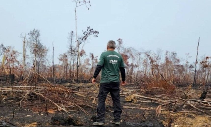 Homem observa área desmatada na Amazônia, em Apuí ou Lábrea.