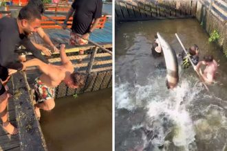 Homens pulando na água com peixes. Ibama investiga infrações ambientais.