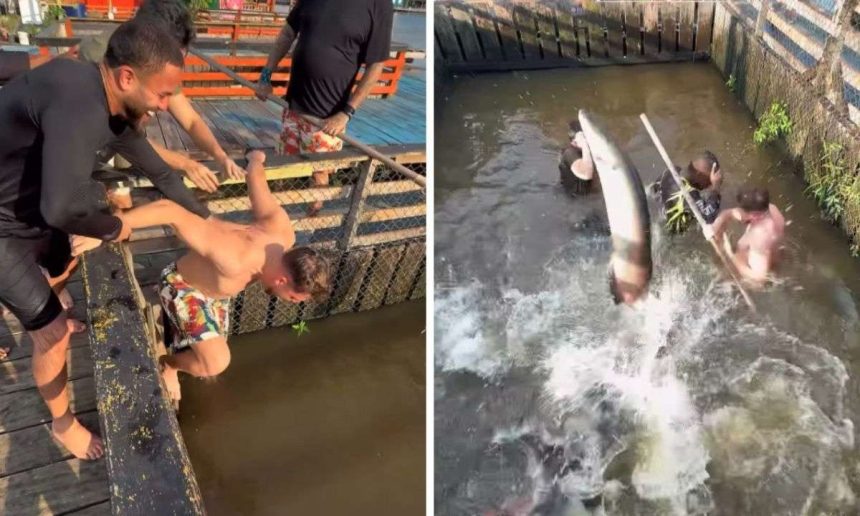 Homens pulando na água com peixes. Ibama investiga infrações ambientais.
