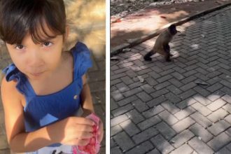 Maria Luísa e macaco: Menina de 6 anos com pipoca roubada por macaco.