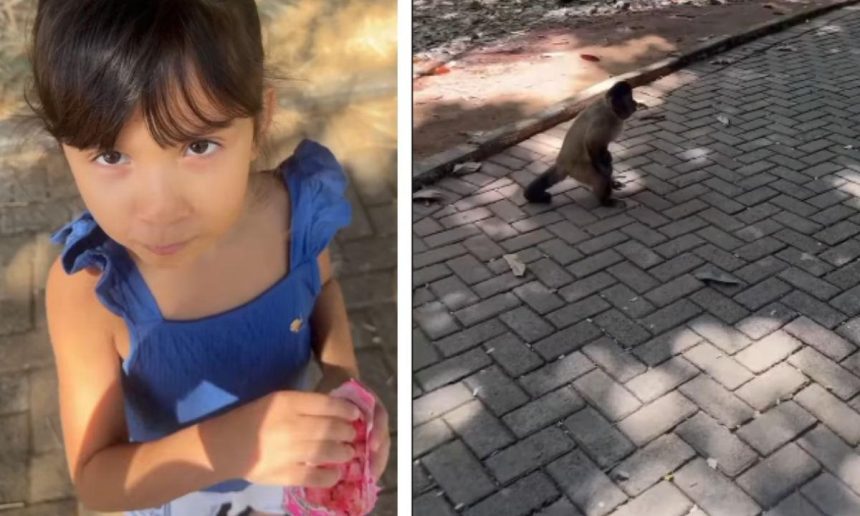 Maria Luísa e macaco: Menina de 6 anos com pipoca roubada por macaco.