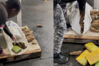 Mulher presa com drogas disfarçadas em sacos e blocos.