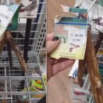 Pedaços de galhos à venda como brinquedos para animais em loja no Paraná, com preços de R$53,99 e R$94,99.