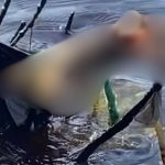 Perna humana boiando no Rio Solimões, próximo a Coari, Amazonas.