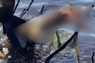 Perna humana boiando no Rio Solimões, próximo a Coari, Amazonas.