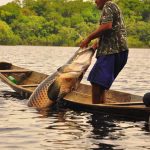 Pescador exibe pirarucu capturado em barco, com fundo de floresta.