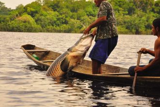 Pescador exibe pirarucu capturado em barco, com fundo de floresta.
